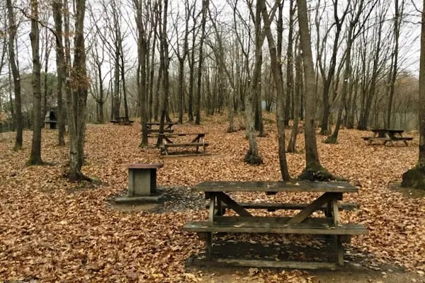 Göktürk Göleti Tabiat Parkı - Resim 9