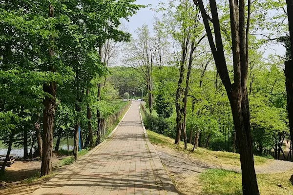 Göktürk Göleti Tabiat Parkı - Resim 5