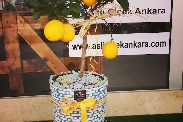 Aslıhan Çiçekçilik Etimesgut - Resim 16