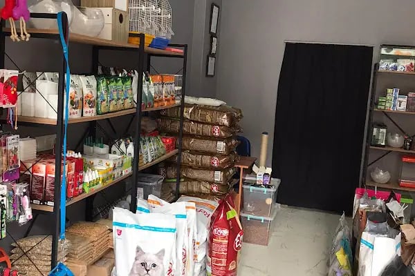 Bergama Pati Pet Shop - Resim 5