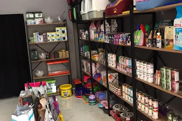 Bergama Pati Pet Shop - Resim 3