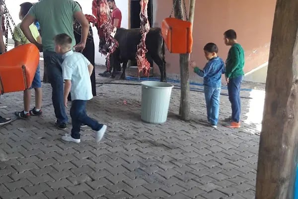 Shell&amp;Turcas Petrol A.Ş. Derince Dolum Tesisleri - Resim 3