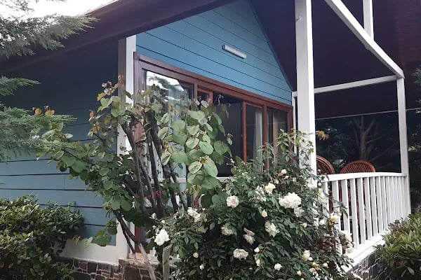 Doğa Şara Butik Hotel - Resim 7