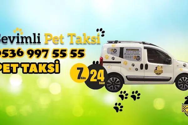 Pet Taksi Sevimli - Resim 2