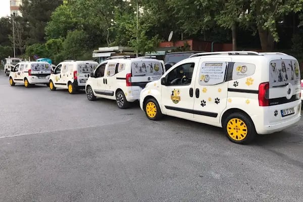 Pet Taksi Sevimli - Resim 12