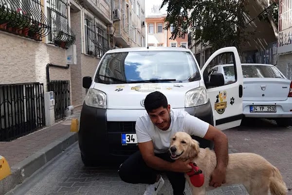 Pet Taksi Sevimli - Resim 11