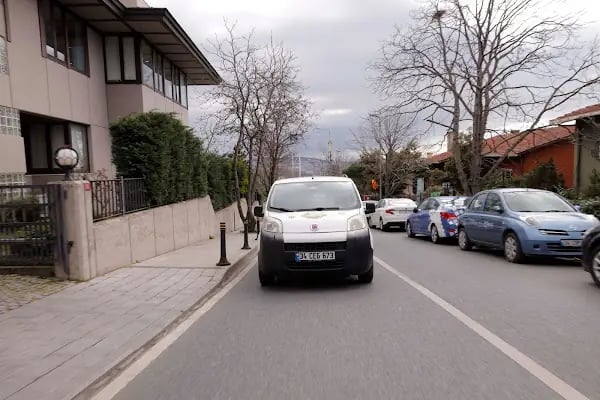 Pet Taksi Sevimli - Resim 4