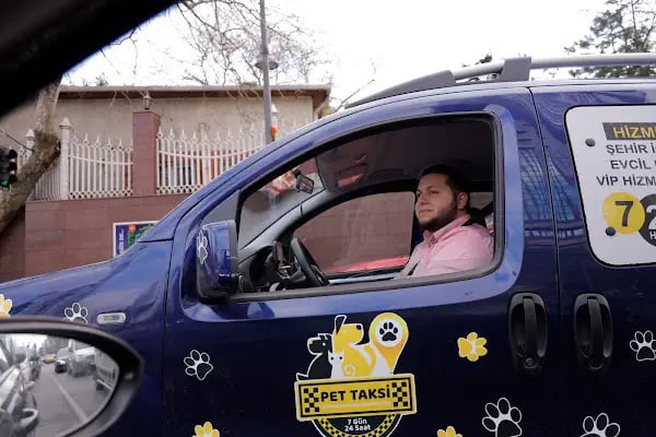 Pet Taksi Sevimli - Resim 10