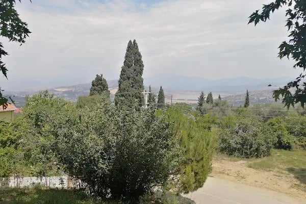 sihirli bahce - Resim 2