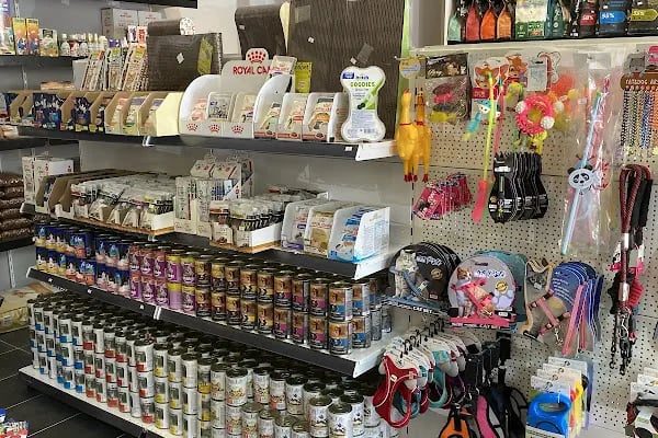 Eylül Petshop - Resim 5