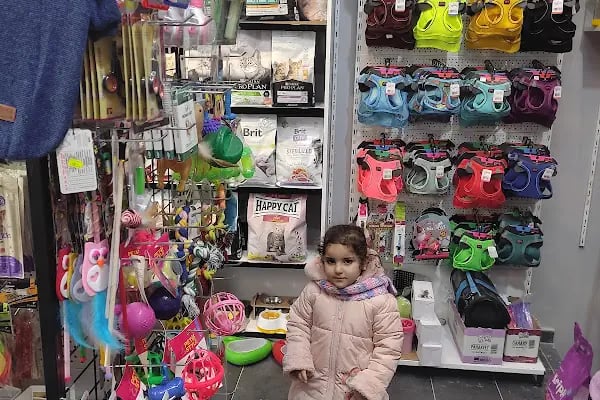 Eylül Petshop - Resim 4