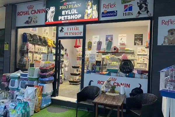 Eylül Petshop - Resim 6