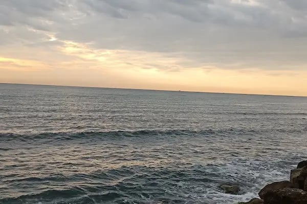 Ormanya Cafe ve Oyun Evi / Mersin - Resim 19