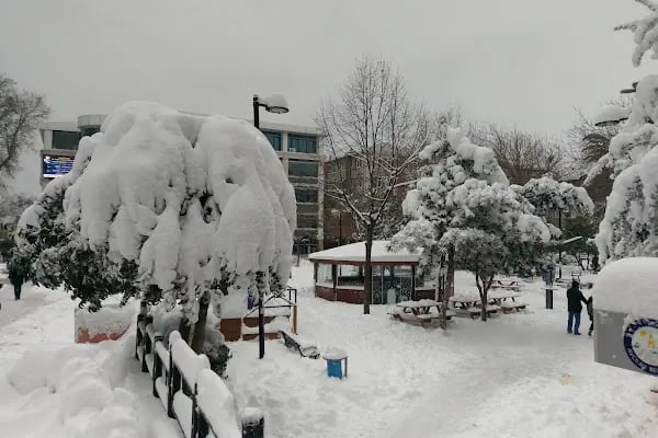 Avcılar Merkez Parkı - Resim 4