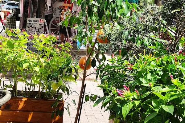 Meydan Cafe Dondurma Kumru - Resim 14