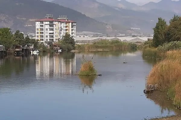 Dragon Köprüsü - Resim 14