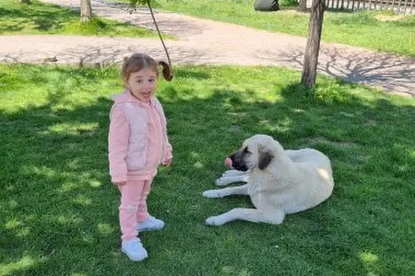 Ankara Gazi Veteriner Kliniği - Resim 17