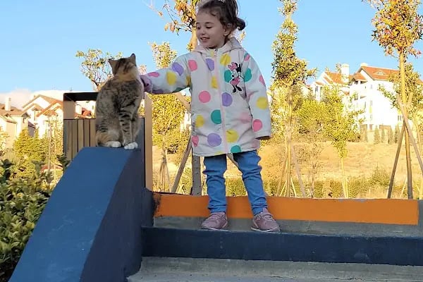 Ankara Gazi Veteriner Kliniği - Resim 14