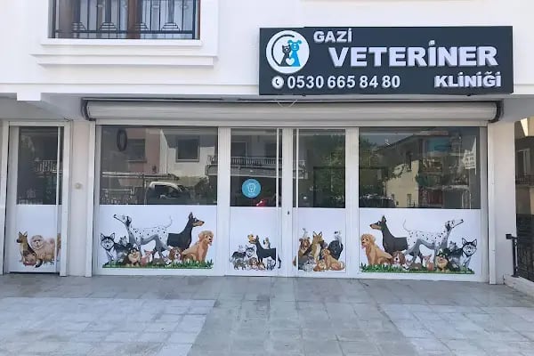 Ankara Gazi Veteriner Kliniği - Resim 1