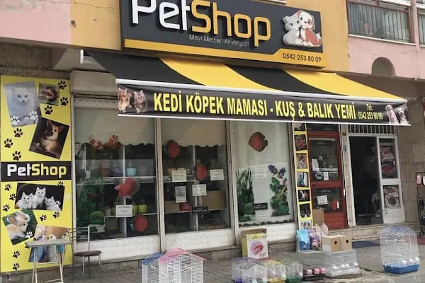 Mavi Mercan Pet Shop - Resim 1