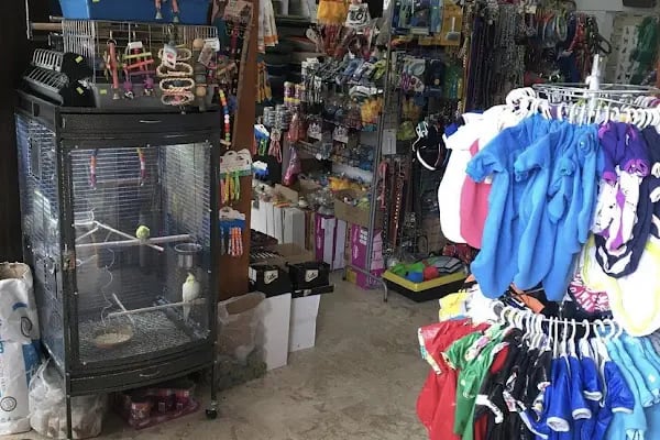 Mavi Mercan Pet Shop - Resim 8