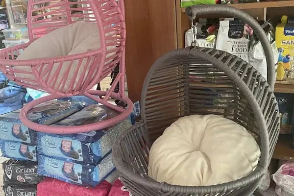 Mavi Mercan Pet Shop - Resim 19