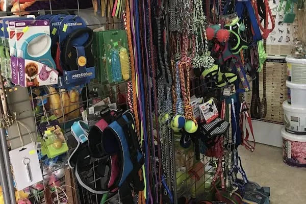 Mavi Mercan Pet Shop - Resim 3