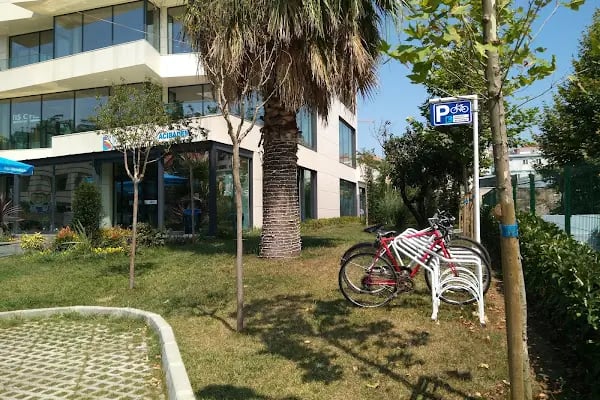 Kadıköy Belediyesi Acıbadem Yüzme Havuzu - Resim 7