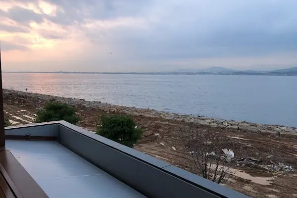 Brave Otel - Çitari Balık - Resim 11