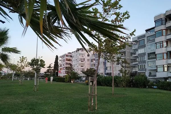 Brave Otel - Çitari Balık - Resim 1
