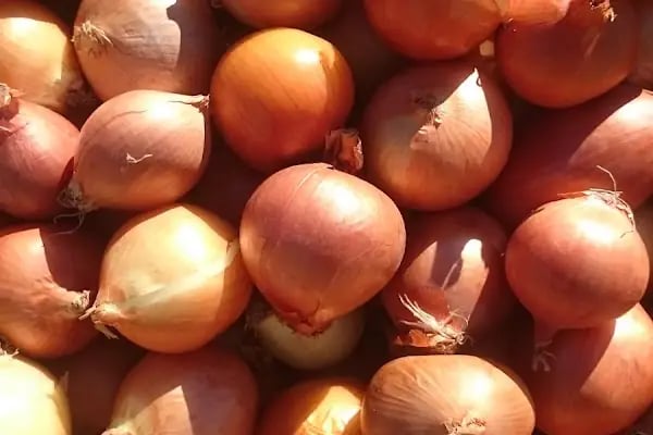 Işıklar Mahallesi Pazar Yeri - Resim 10