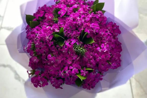Bodrum Çiçekçi - Resim 15