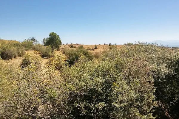 Bergama Gayrimenkul Emlak danışmanlık - Resim 4