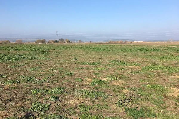 Bergama Gayrimenkul Emlak danışmanlık - Resim 7