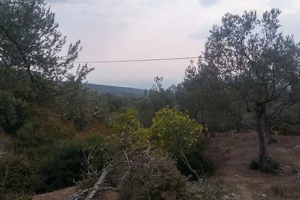 Bergama Gayrimenkul Emlak danışmanlık - Resim 3