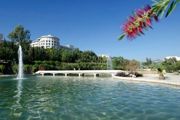 Mersin Üniversitesi - Resim 11