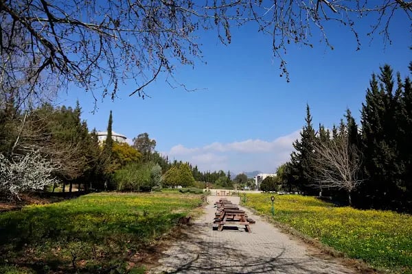 Mersin Üniversitesi - Resim 14