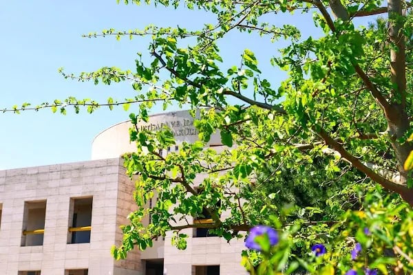 Mersin Üniversitesi - Resim 5