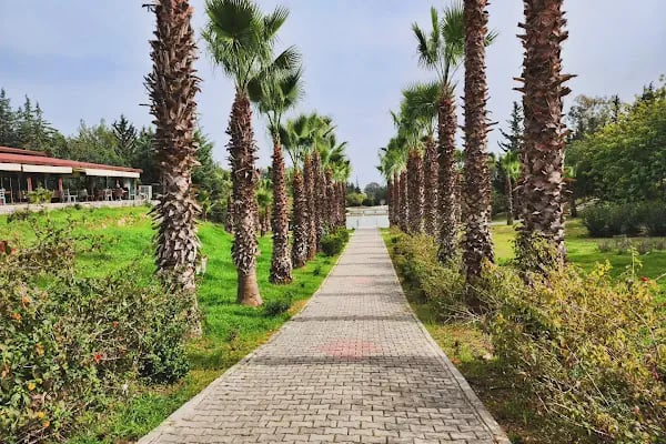 Mersin Üniversitesi - Resim 15