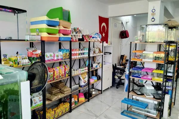 Hyreaqua Akvaryum ve Pet Market - Resim 16