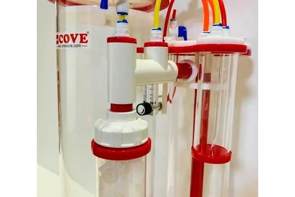 Hyreaqua Akvaryum ve Pet Market - Resim 12
