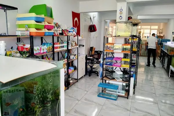 Hyreaqua Akvaryum ve Pet Market - Resim 7