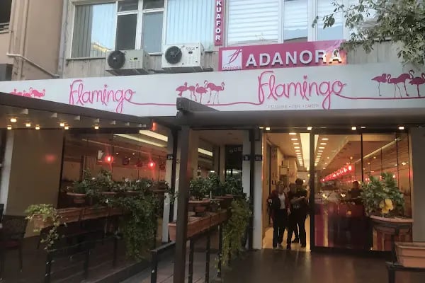 Flamingo Pastanesi - Resim 11