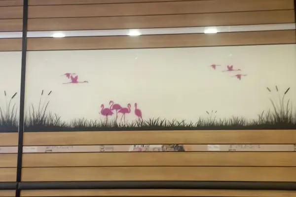 Flamingo Pastanesi - Resim 12