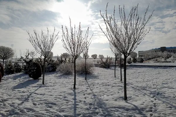 Ankara Üniversitesi Gölbaşı Kampüsü - Resim 11