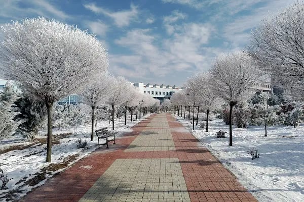 Ankara Üniversitesi Gölbaşı Kampüsü - Resim 4