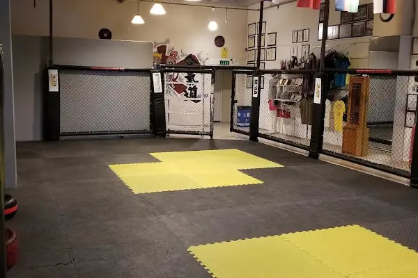 Senjutsu Dojo Savunma Sanatları Akademisi - Resim 7