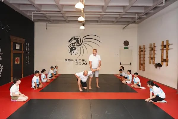 Senjutsu Dojo Savunma Sanatları Akademisi - Resim 4