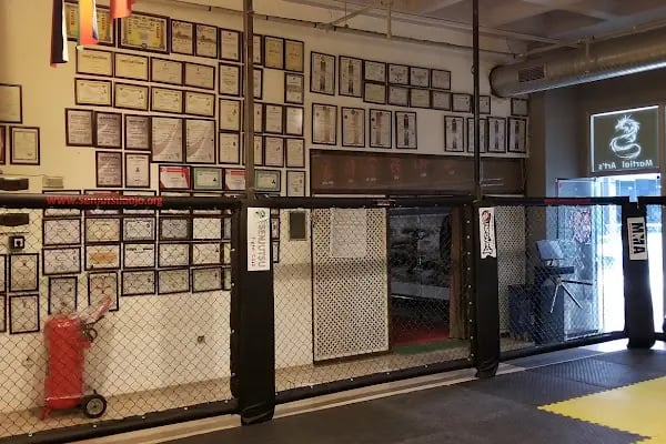 Senjutsu Dojo Savunma Sanatları Akademisi - Resim 15