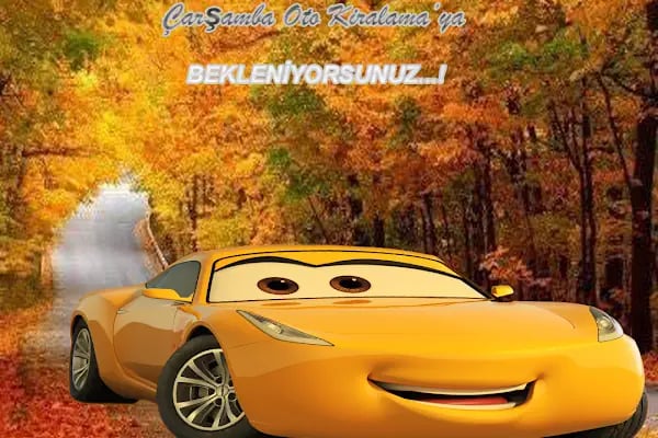 Çarşamba Rent A Car - Resim 18